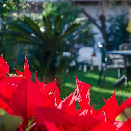 House Etna View